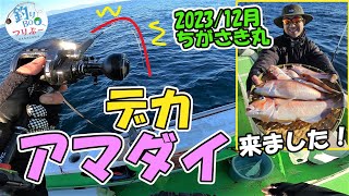 相模湾、今年はデカアマダイ連発！ちがさき丸