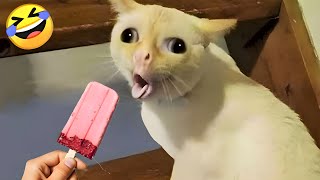 Funny Cats and Dogs Videos 🐱🐶- Funniest Animals 2024 😂 Part - 5