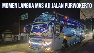 FULL AKSI RATU MOEEZA‼️JALUR SELATAN KEMBALI MEMANAS‼️TRIP REPORT W 7295 UP