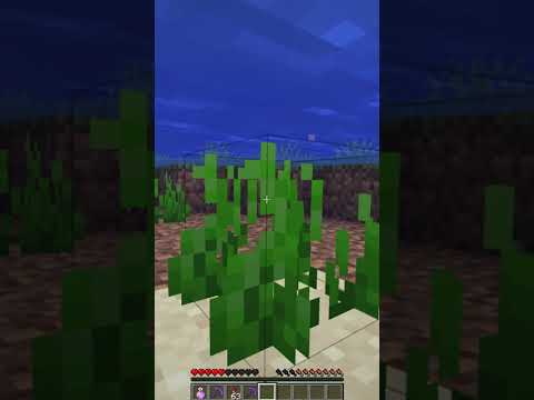 Minecraft เเต่ โดนดาเมจ=ของ OP โคตรเทพ!!!! #shorts