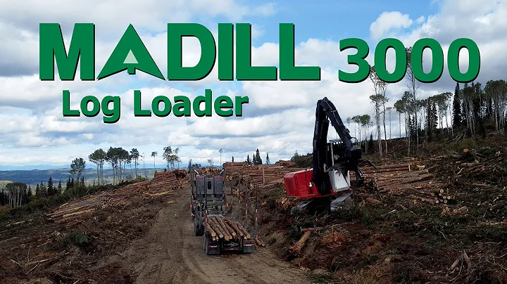 Madill 3000 Log Loader Operator Testimonial