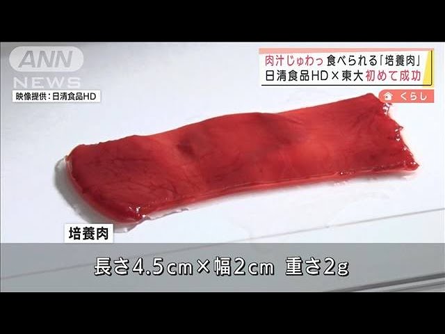 「食べられる培養肉」初めて成功　日清食品HD×東大(2022年4月1日)