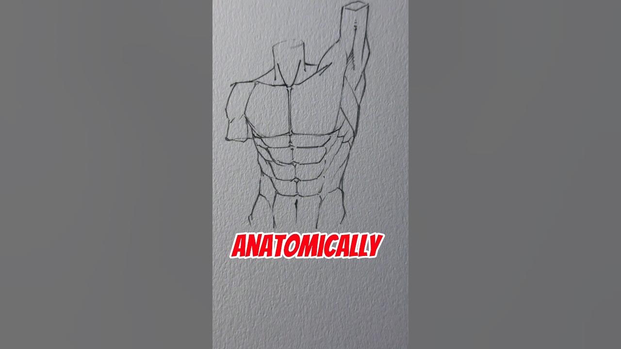 How To Draw Serratus Muscle 💪🏻 Jmarron Youtube