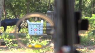 Download How To Practice Before Going Bowhunting For Whitetails. Video MP3 How To Practice Before Going Bowhunting For Whitetails.