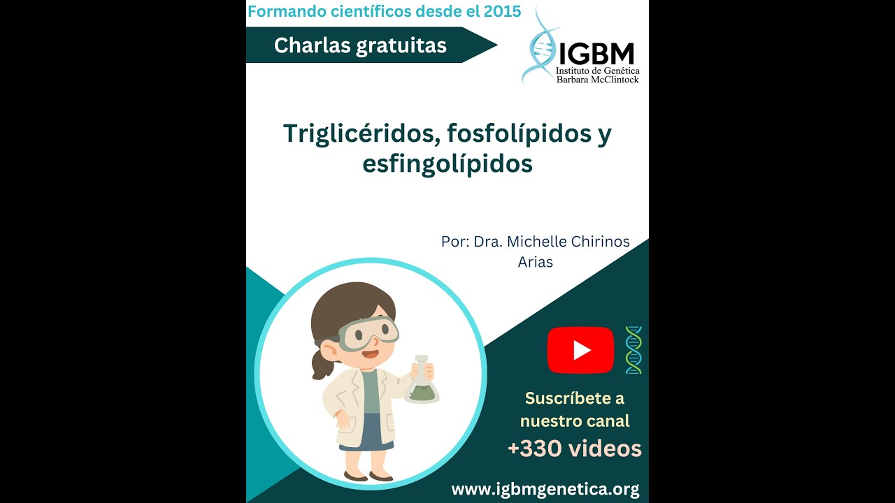 Triglicéridos, fosfolípidos y esfingolípidos