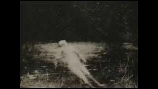 Burzum - Dunkelheit (with lyrics)