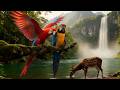 🐦Canopy of Colors | Most Beautiful Forest Birds &amp; Gentle Nature Music