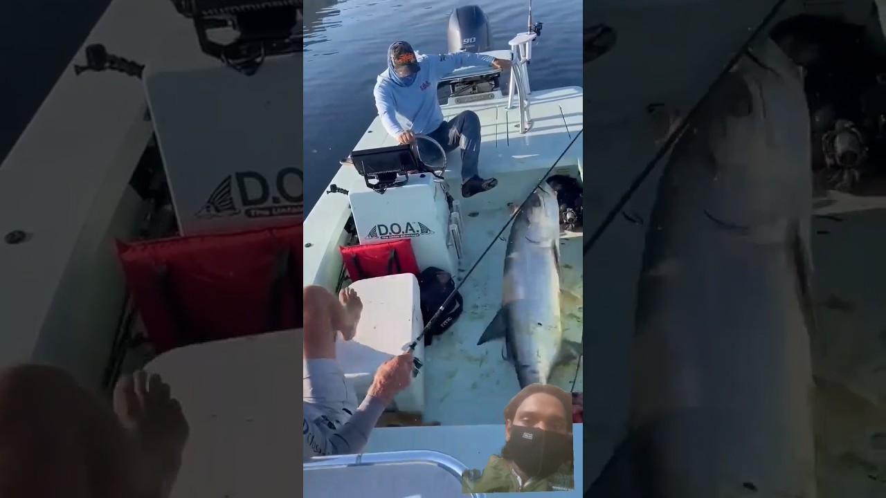 Fishing in USA 🇺🇸 | Huge Fish Catch | American Fishing Vlog 