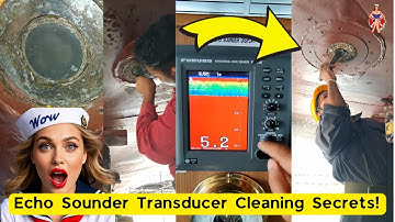 MIND-BLOWING Ship Echo Sounder Transducer Cleaning Secrets Revealed 🧐