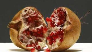 Download Lagu Leonardo De Lorenzo \ MP3