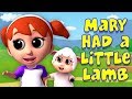 мэри был маленький ягненок | овца рифма | Mary Had A Little Lamb | Kids ABC TV Russia