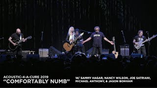 "Comfortably Numb" A4AC Sammy Hagar, Nancy Wilson, Joe Satriani + More! chords