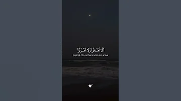 إن الذين قالوا ربنا الله ثم استقاموا سورة فصلت إسلام صبحي 