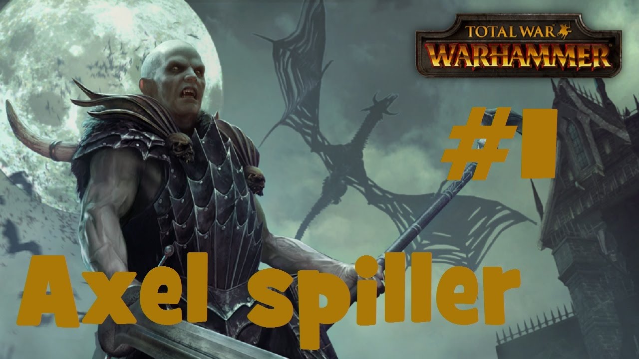 total war warhammer will not launch total war warhammer will not launch