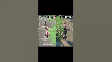 Mobile vs PC Player in Honami City #wutheringwaves