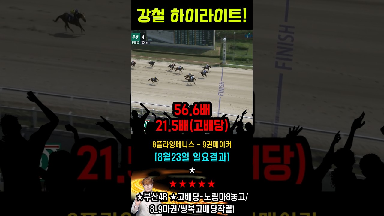 🟥경마🟥강철🥎대박마🎯적중🥇하이라이트🏀⚽강철 적중 하이라이트 0824