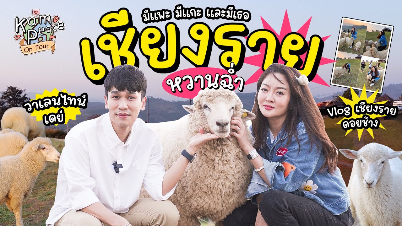 KamPeaceOnTour EP.พิเศษ เที่ยวเชียงรายต้อนรับ วาเลนไทน์ 67 หวานฉ่ำมีแพะ มีแกะ และก็มีเธอ