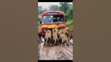 Elephant Pushes Bus Off Cliff in Jungle | Shocking AI Wildlife Scene | AI-Generated