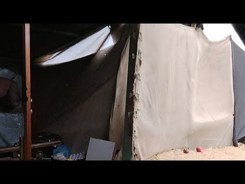 مباشر من خيام النزوح شاهد الآن رسالة للعالم العربي والأمة والعالم اجمعين 