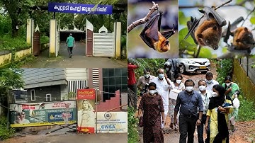 നിപ ബാധിച്ച കോഴിക്കോടിന്റെ ഇപ്പോഴത്തെ അവസ്ഥ കണ്ടോ