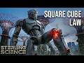 The Square-Cube Collapse: Why Giants Always Destroy Themselves