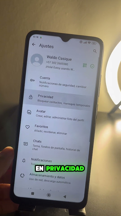 How to VIEW WhatsApp STATUS without the OTHER PERSON KNOWING