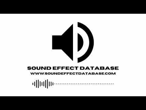 Putar Sound Effects: Drinking Beer - Sara K.