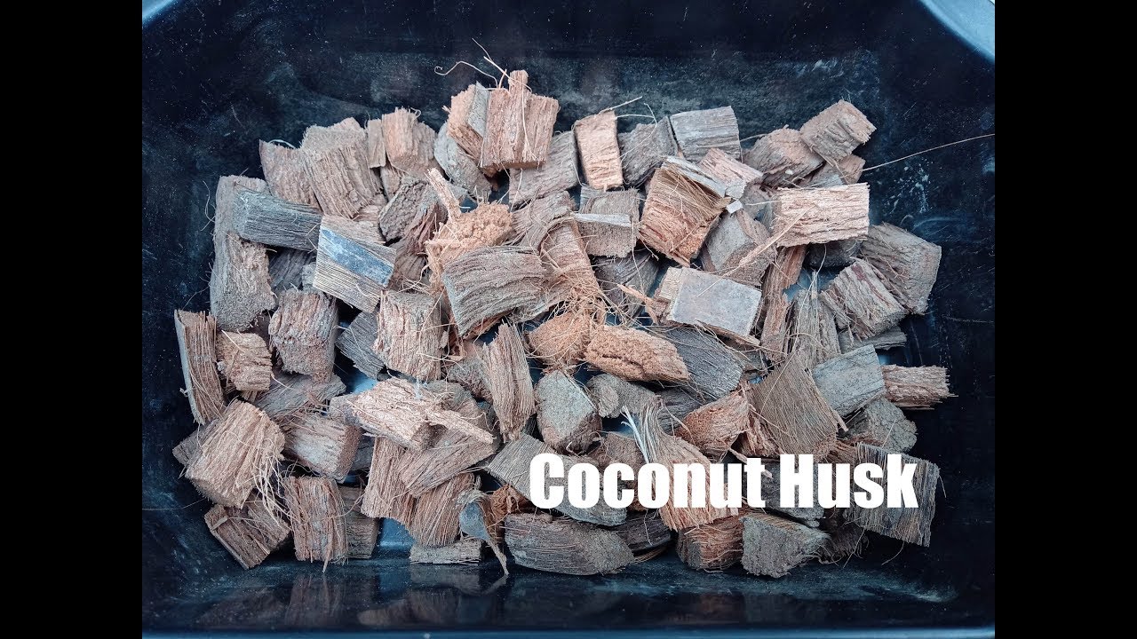 How to make coconut husk It's benefits YouTube