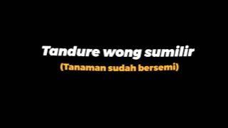 DJ LIR ILIR SLOW STORY WA 30 DETIK OVERLAY
