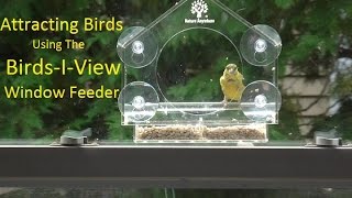 Get your own Birds-I-View window feeder here: http://goo.gl/zrrvHD https://fbit.co/2peR Please SUBSCRIBE to our large family ...