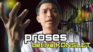  Sebelum Proses Harus Tau Ini Dulu