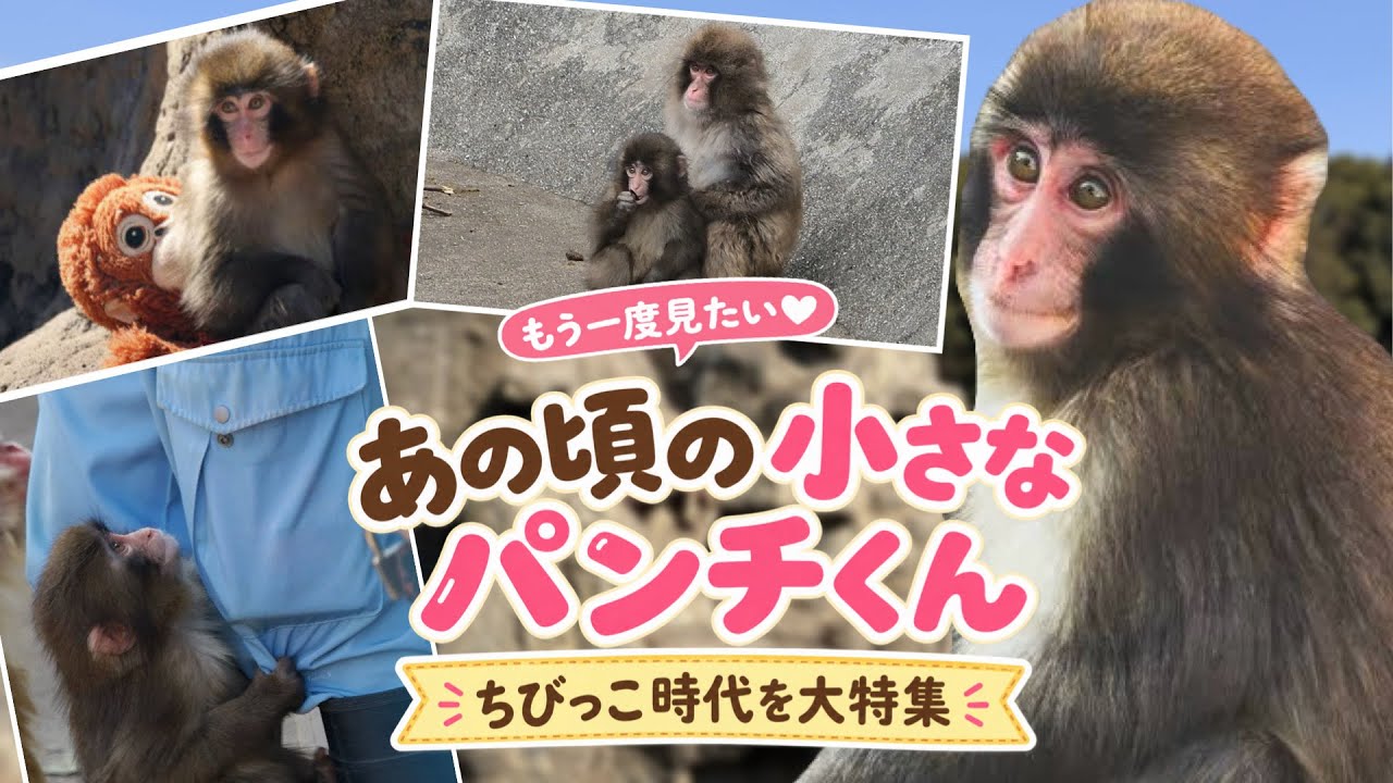 パンチ君vintage 懐かし映像】こんなに小さかった！パンチくんの可愛すぎるあの頃