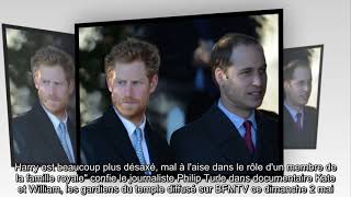 ✅  ✅  Harry « désaxé » face à William si parfait : cette attaque en règle