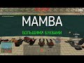 МОЮ ФАМКУ ЗАБАНИЛИ! ПЕРЕШЛИ НА SILVER! ROAD К 30 СТАЖУ НОВЫЙ ПРОМОКОД: MAMBA  AMAZING RP В GTA CRMP