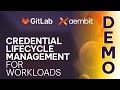 [Demo] GitLab Credential Lifecycle Management with Aembit Workload IAM