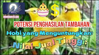 Potensi Penghasilan Tambahan: || Hobi yang Menguntungkan: ||  Nilai Jual Tinggi: