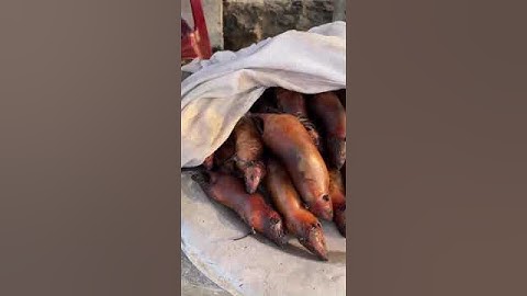 Đặc sản CHUỘT ĐỒNG THUI RƠM