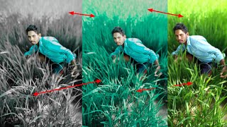 Autodesk Hace Smooth Ful Lutorial Todesk Face Editing Full I Ak Family Edit