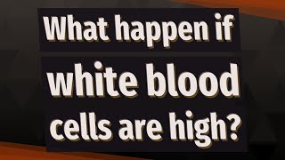 What happen if white blood cells are high?