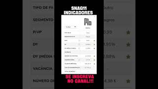 SNAG11 - INDICADORES