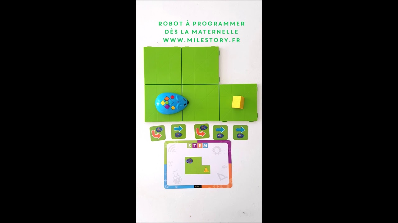 Learning Resources Kit d'activités Ingénierie et Design STEM Learning Resources Kit d'activités Ingénierie et Design STEM
