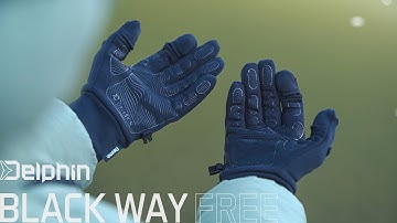 Delphin BlackWAY Free