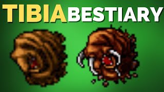 TIBIA BESTIARY Rotworm, Carrion Worm - Edron TIBIA BESTIARY Rotworm, Carrion Worm - Edron