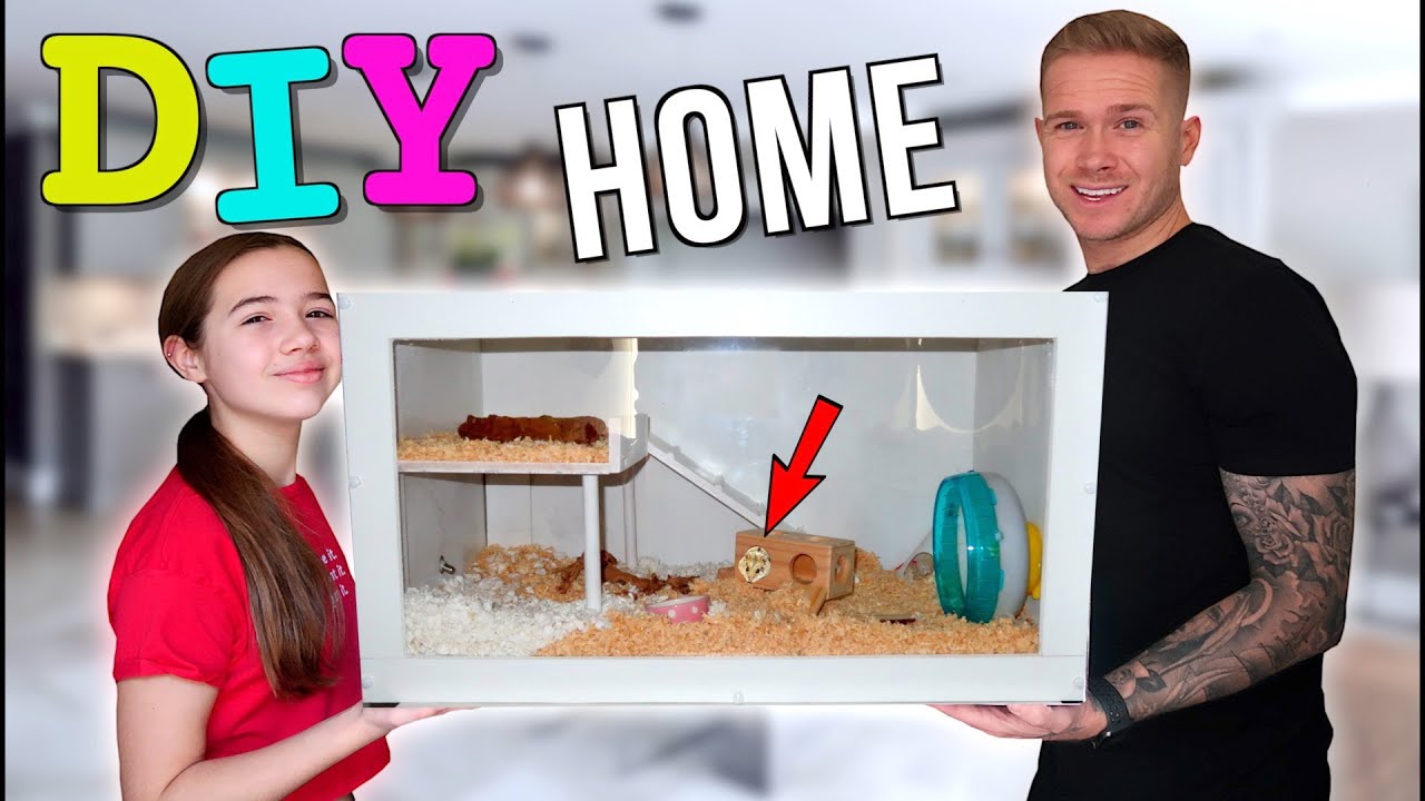 8 Diy Hamster Cages You Can Build Today With Pictures Pet Keen