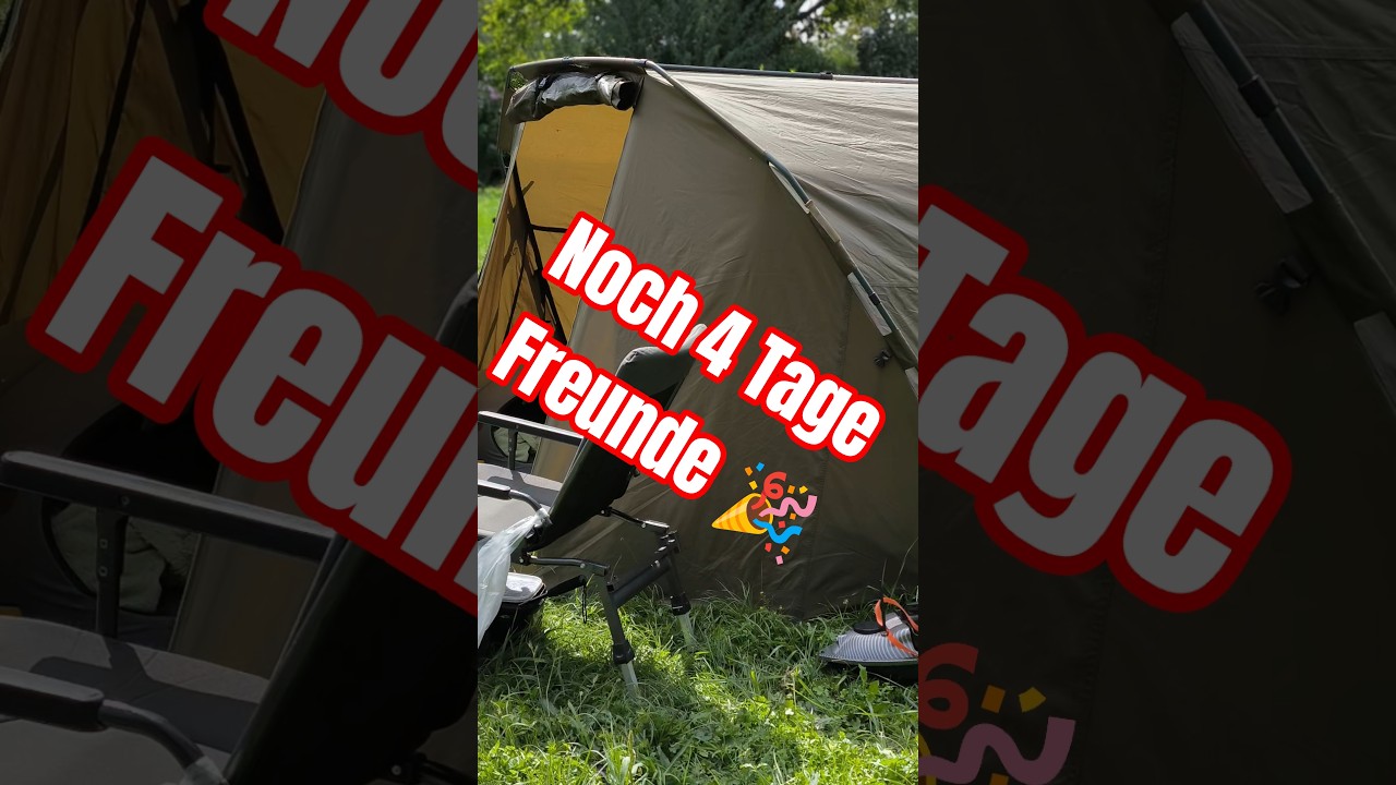 Noch 4 Tage Freunde , Karpfen Angeln 2025 im Ausland. 