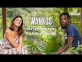 Wankos gte et table dhtes  la tribu de koind rgion de la foa pisode tv 