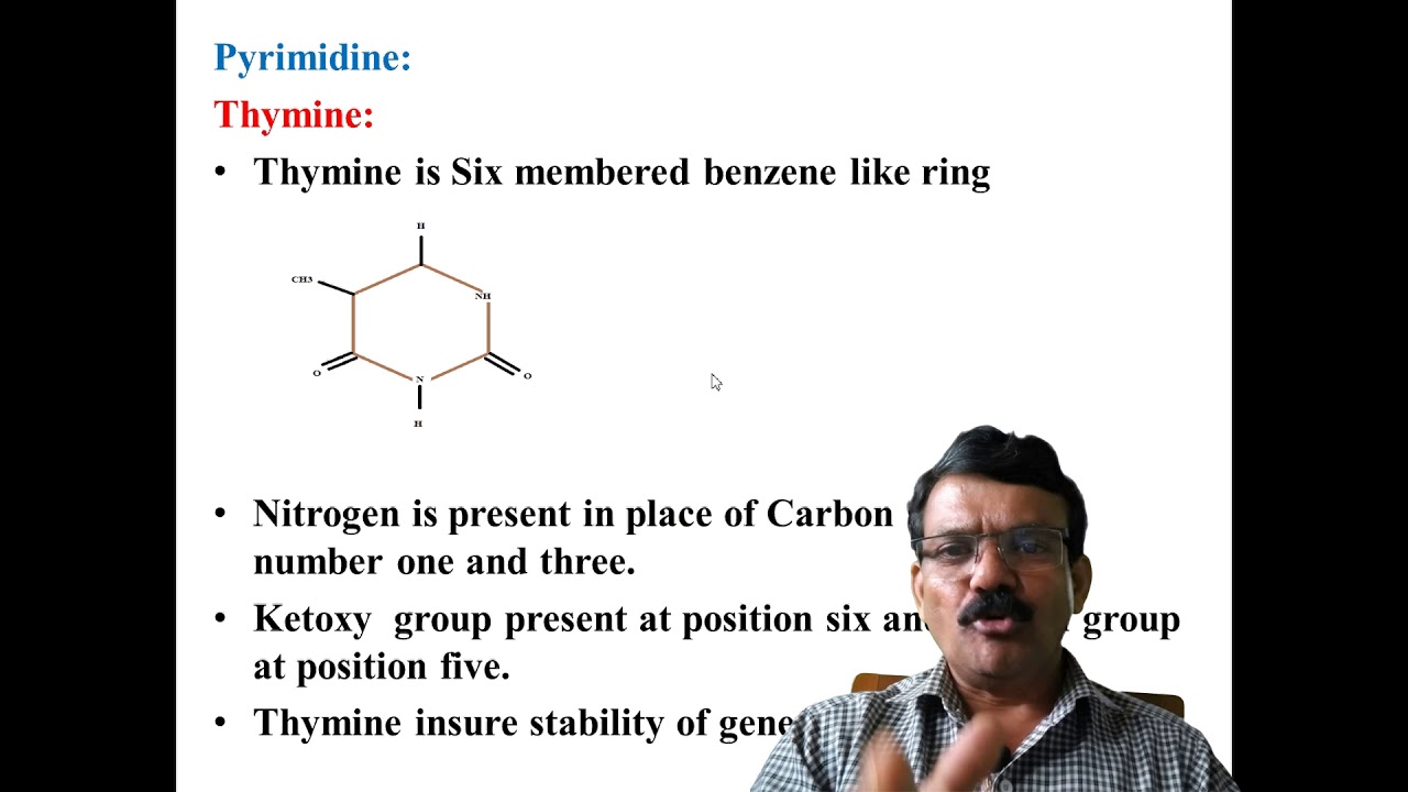 Lecture by Dr.M.R.Abdar - YouTube