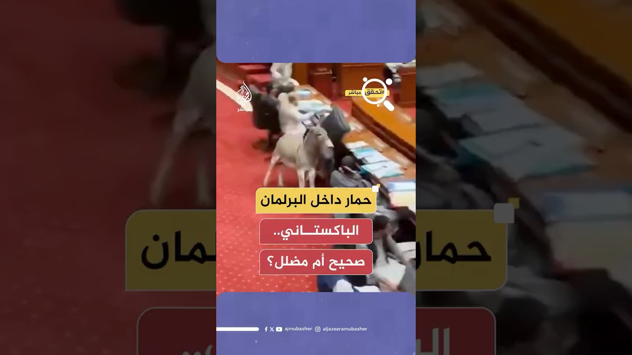 حمار يتسلل فجأة ويدخل إلى البرلمان الباكستاني.. هل الفيديو صحيح؟