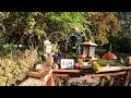 My Thursday Morning Mayhem Bird &amp; Squirrel Livestream 4K