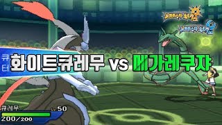 [포켓몬스터 USUM] 큐레무의 특성이 사기인 이유/화이트큐레무 VS 메가레쿠쟈